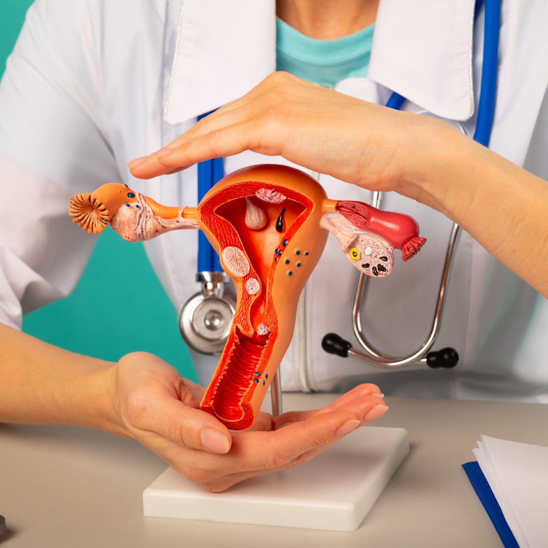 探討婦科中醫治療的獨特性與效益 —— 源與中醫診所